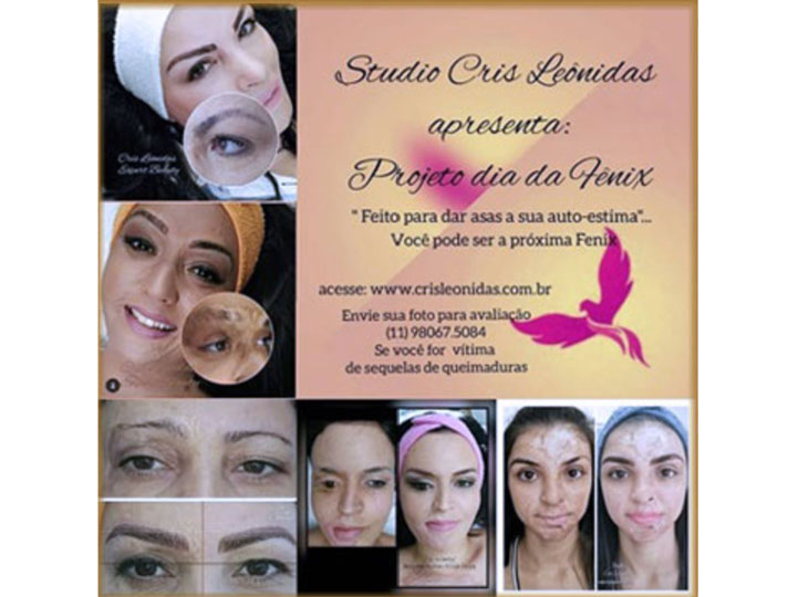 Projeto Dia da Fênix